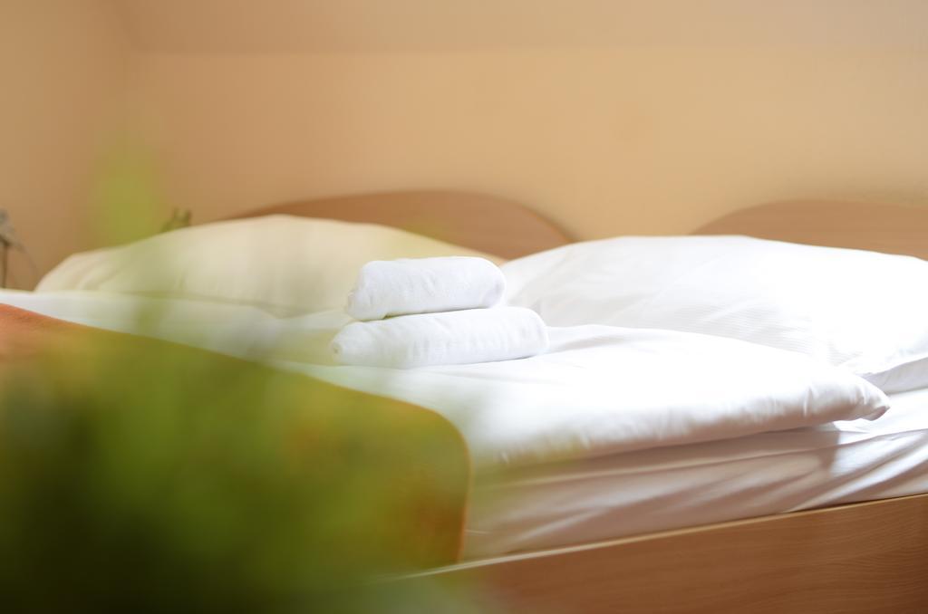 Hotel Paradies Teplice Bagian luar foto